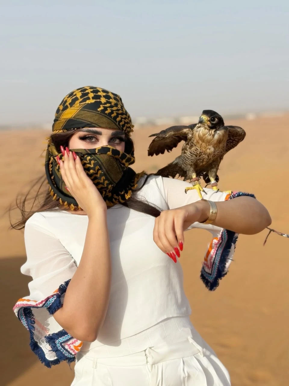 Bus Pick and Drop Desert Safari Dubai