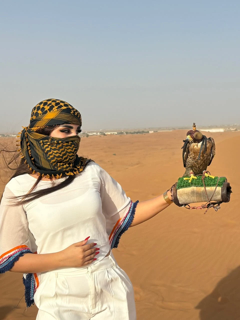 Tourist holding a falcon in the Dubai desert