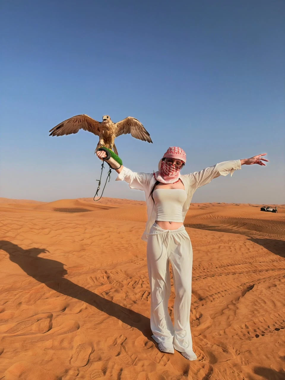Falcon Photoshoot