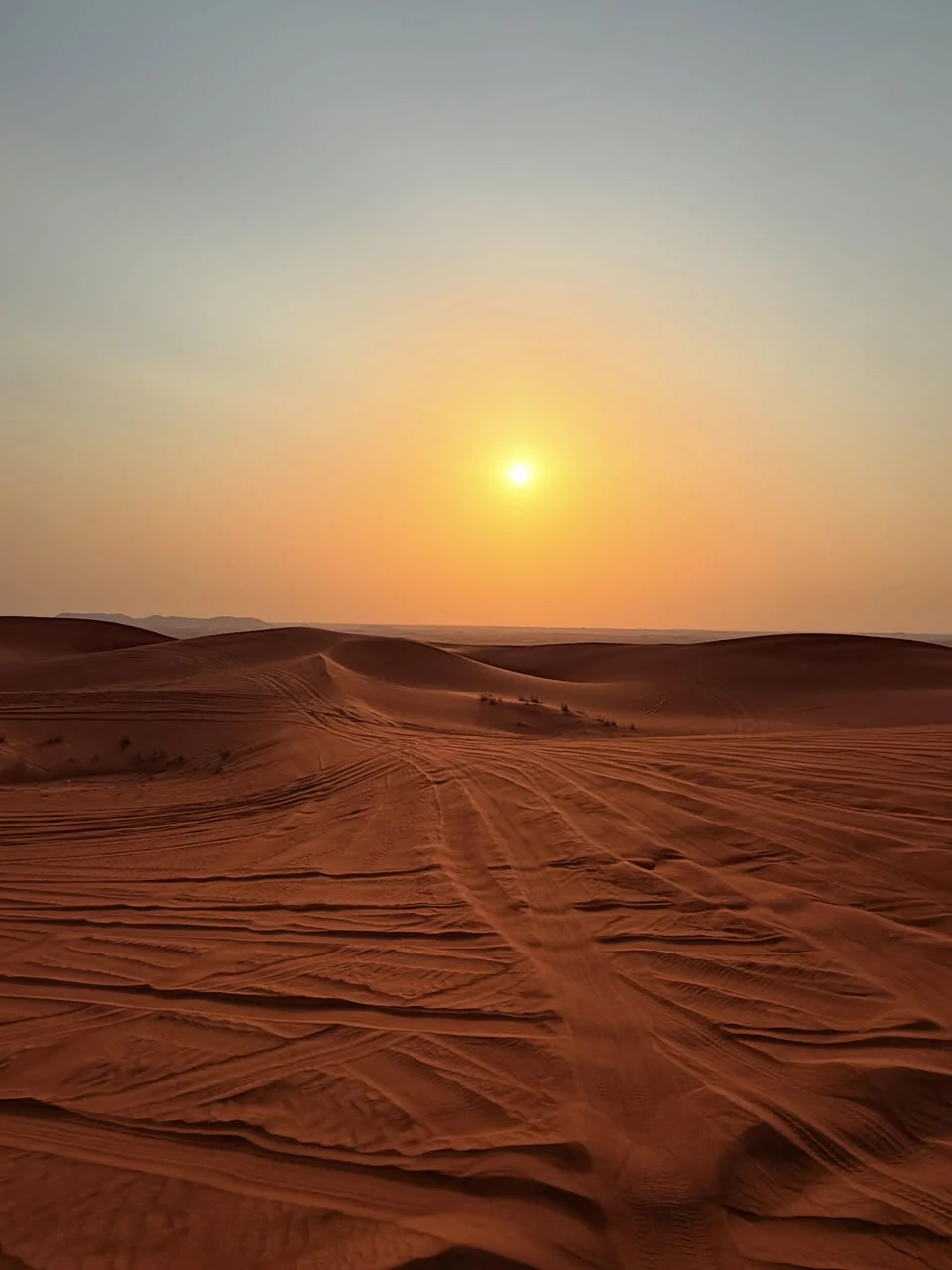 Desert Sunset